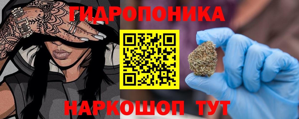 Конопля OG Kush Кольчугино